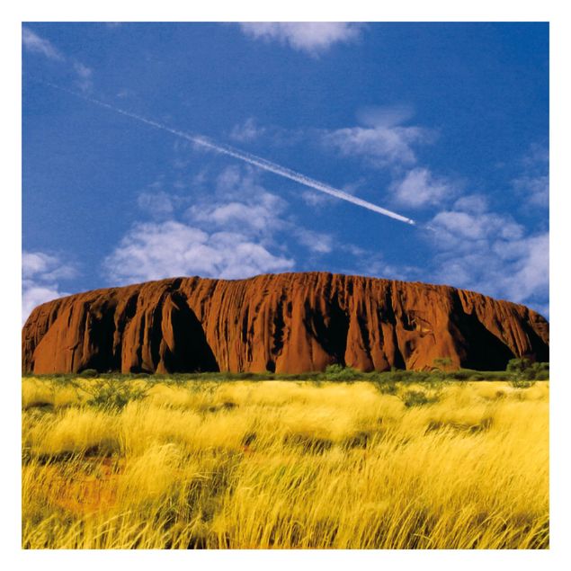 blue wall mural Uluru