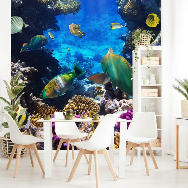 Wallpapers fishes Underwater Dreams
