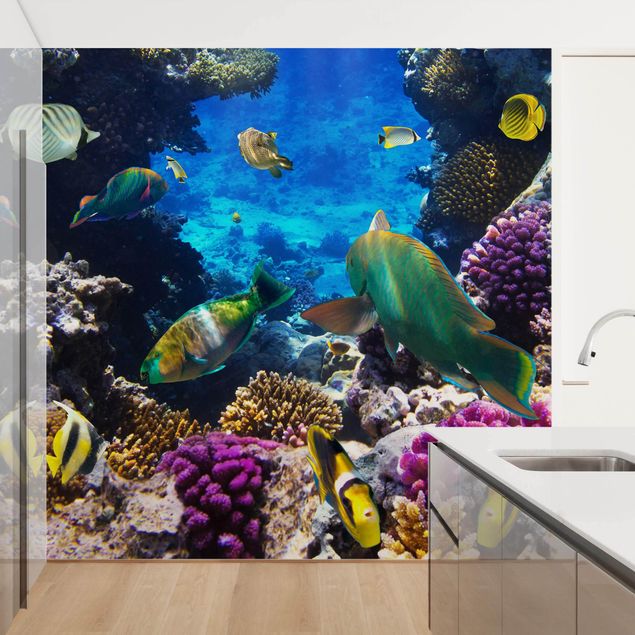 Wallpapers underwater Underwater Dreams