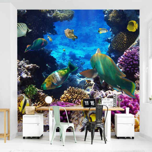 Wallpapers animals Underwater Dreams