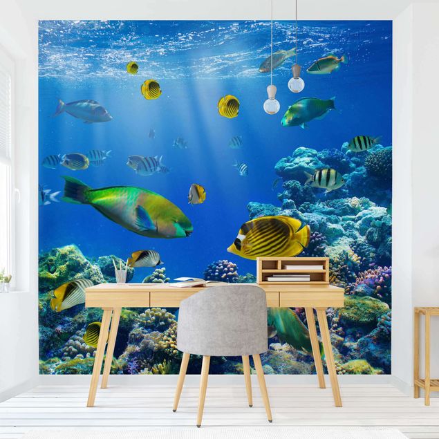Wallpapers fishes Underwater Lights