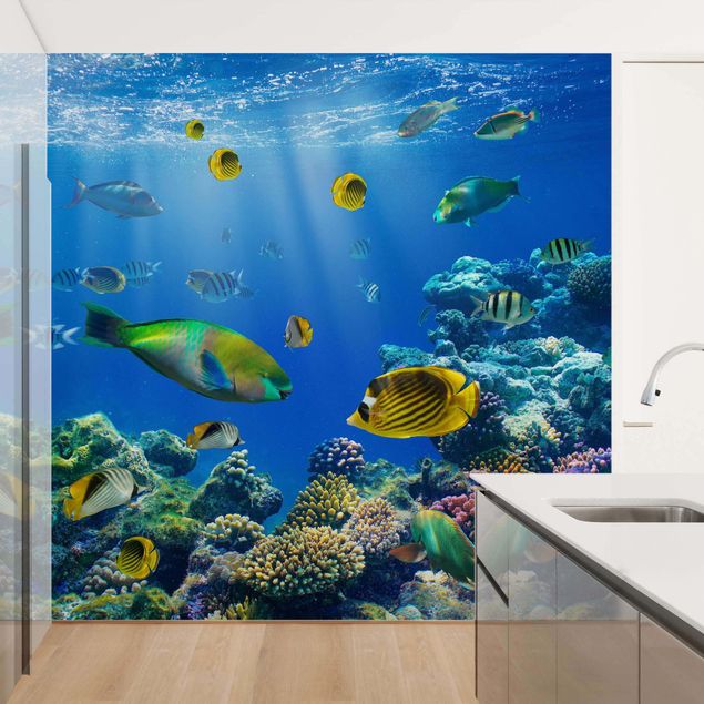 Wallpapers animals Underwater Lights