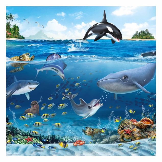 Wallpapers landscape Animal Club International - Underwater World With Animals