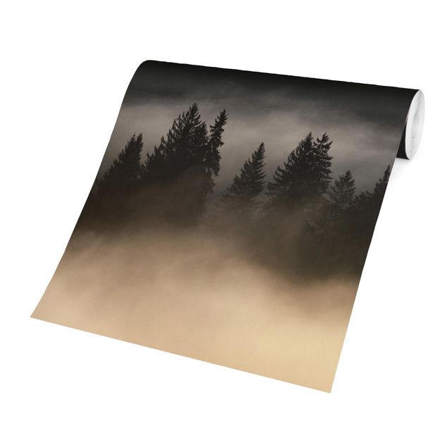 Wallpapers black Dreamy Foggy Forest