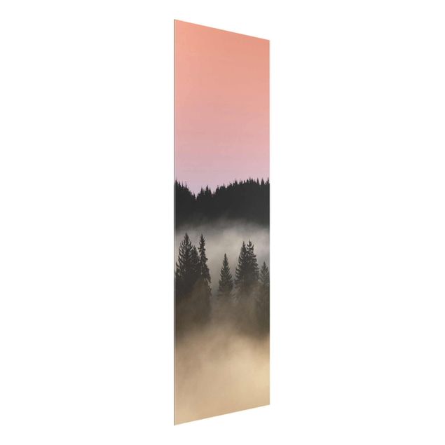 Glass prints landscape Dreamy Foggy Forest