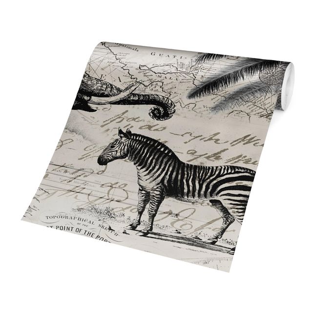 Wallpapers zebra Vintage Collage - Exotic Map