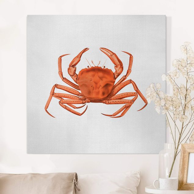 Canvas prints fishes Vintage Illustration Red Crab