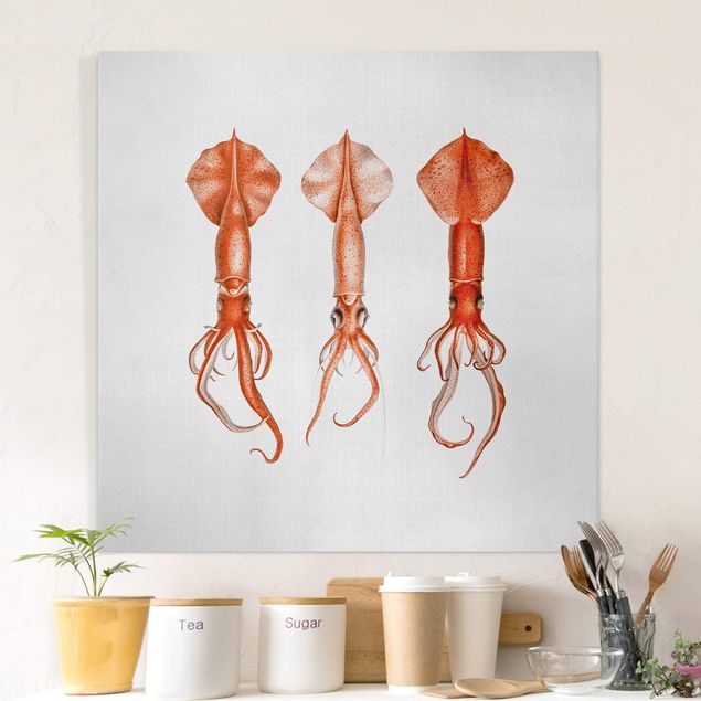 Canvas prints fishes Vintage Illustration Red Squid