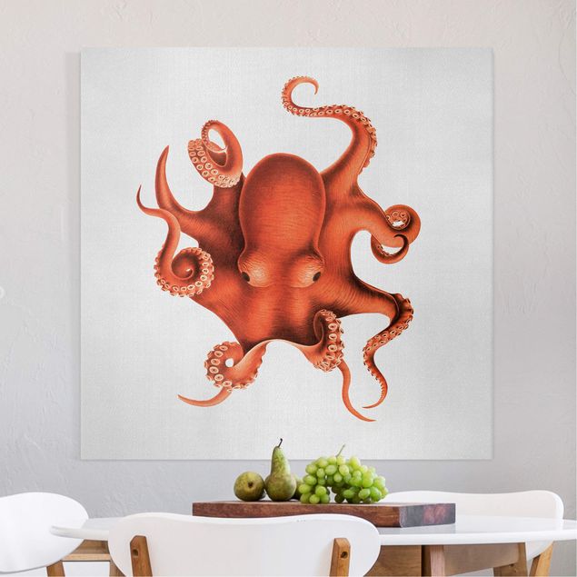 Canvas prints fishes Vintage Illustration Red Octopus