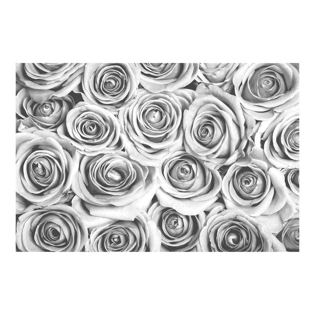 Adhesive wallpaper Vintage Roses Black And White