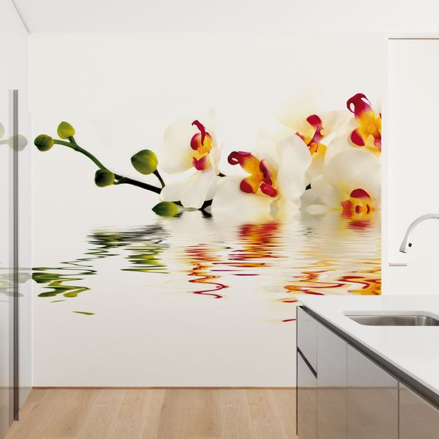 Wallpapers flower Vivid Orchid Waters