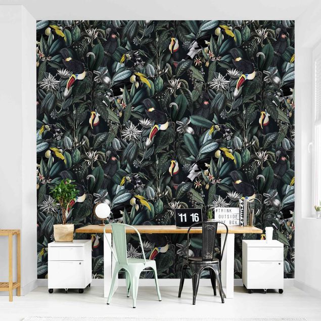 Wallpapers animals Birds In Dark Botany