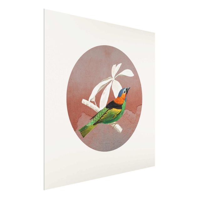 Modern art prints Bird Collage In A Circle ll