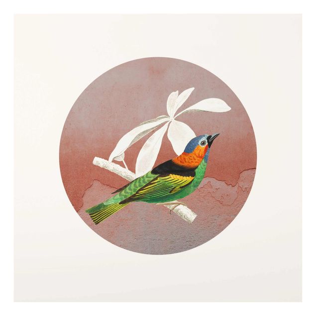 Prints multicoloured Bird Collage In A Circle ll