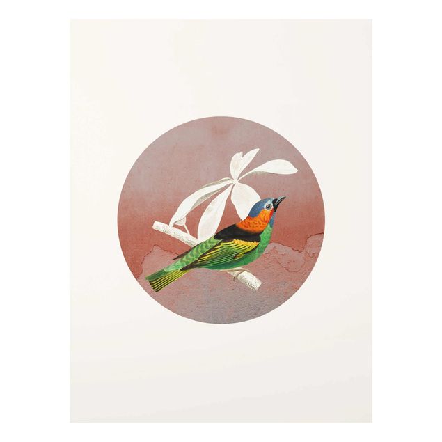 Prints multicoloured Bird Collage In A Circle ll