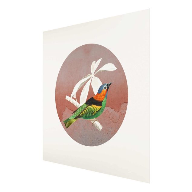 Prints Bird Collage In A Circle ll