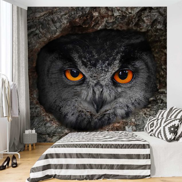Wallpapers animals Watching Owl
