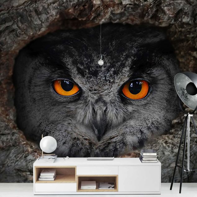 Contemporary wallpaper Watching Owl