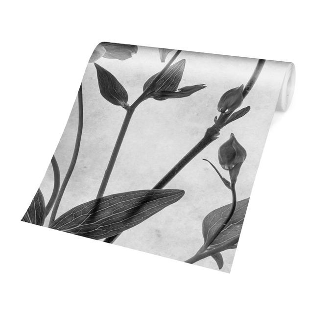 Adhesive wallpaper Forest Aquilegia Black And White
