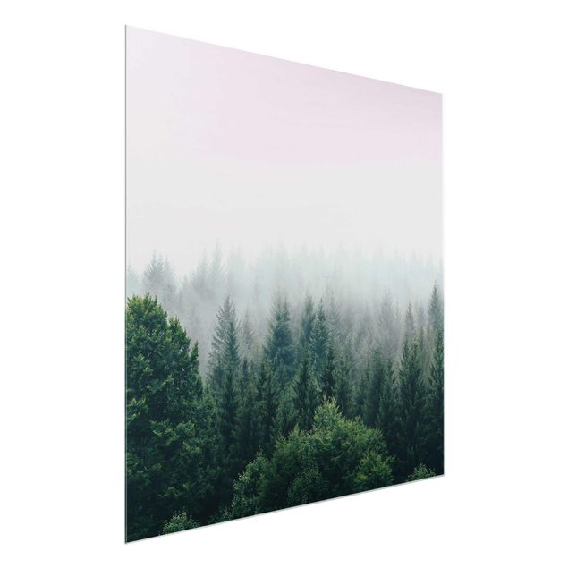 Glass prints landscape Foggy Forest Twilight