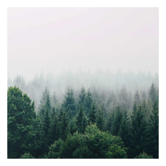 Contemporary art prints Foggy Forest Twilight