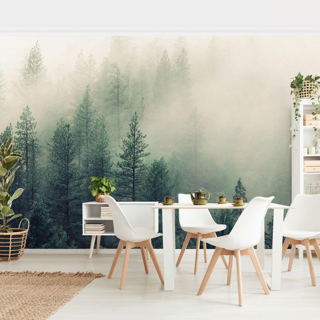 Rainforest wallpaper Foggy Forest Awakening