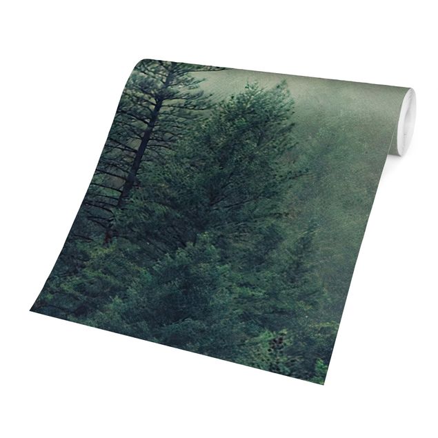 Wallpapers green Foggy Forest Awakening