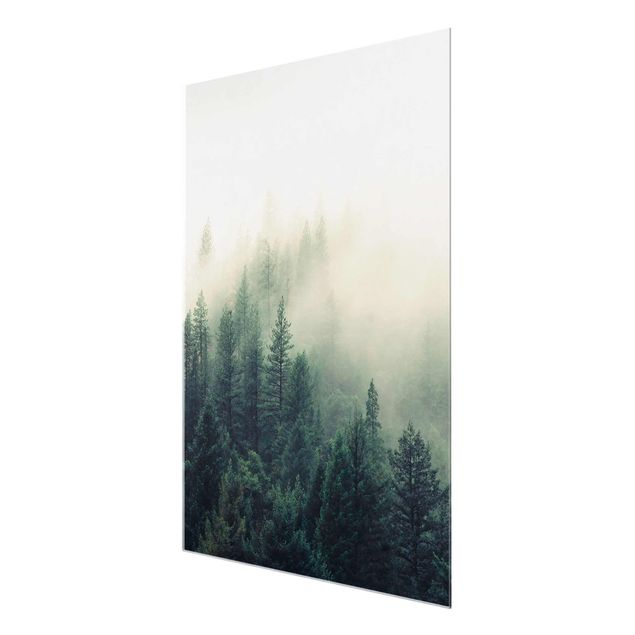 Nature art prints Foggy Forest Awakening
