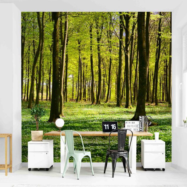 Wallpapers landscape Forest Meadow