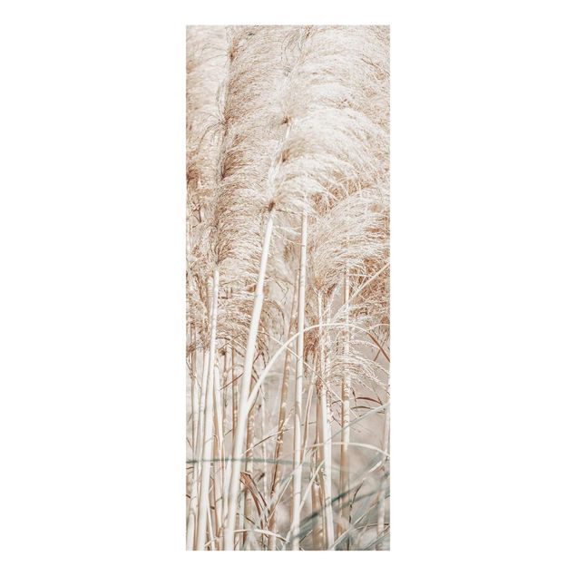 Monika Strigel Art prints Warm Pampas Grass In Summer