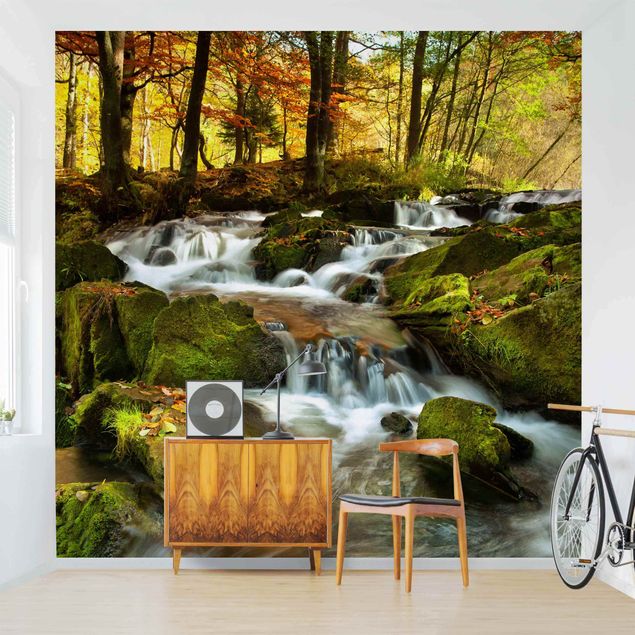 Wallpapers waterfall Waterfall Autumnal Forest