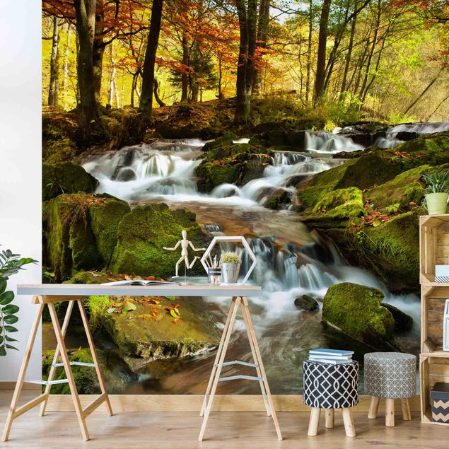 Modern wallpaper designs Waterfall Autumnal Forest