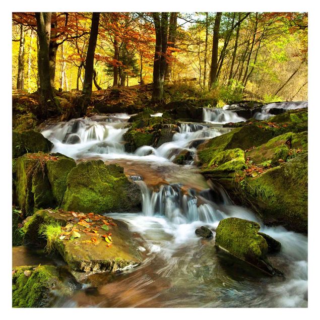 Wallpapers green Waterfall Autumnal Forest