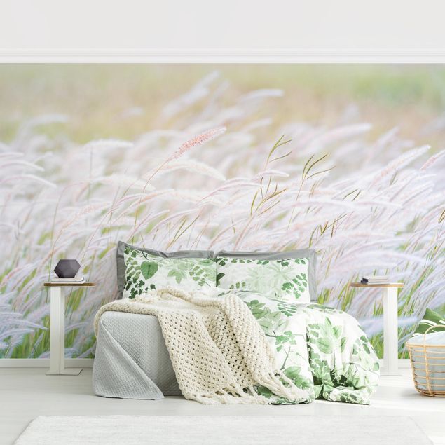 Wallpapers modern Soft Grasses