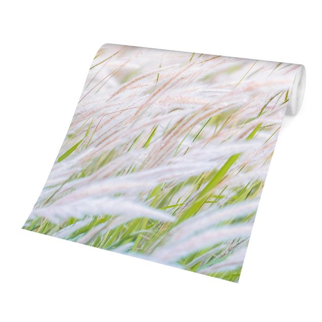 Creme wallpapers Soft Grasses