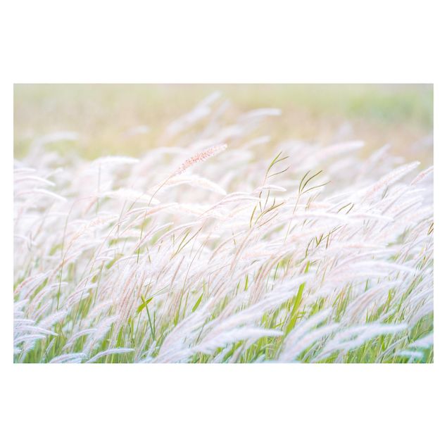 Self adhesive wallpapers Soft Grasses
