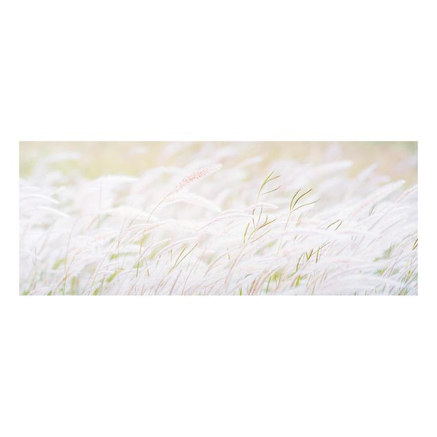 Prints Soft Grasses