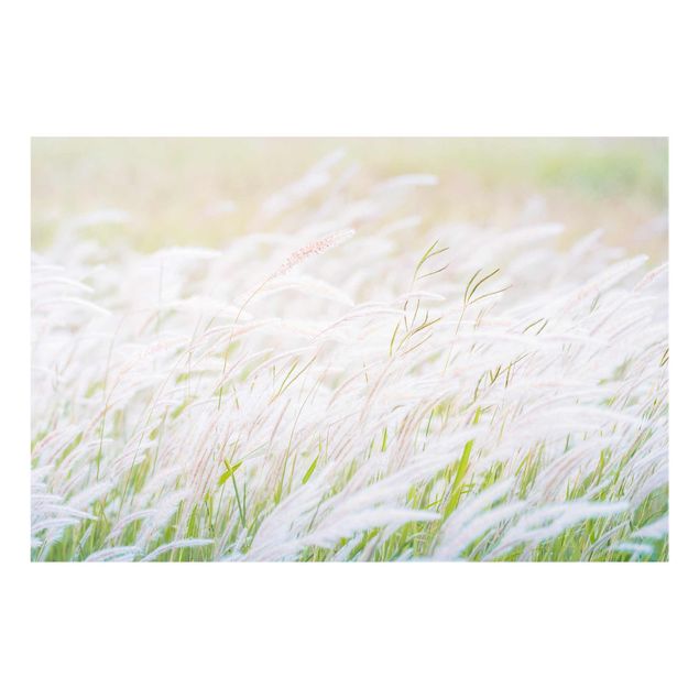 Prints Soft Grasses