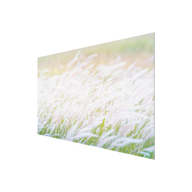 Magnettafel Glas Soft Grasses