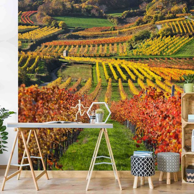 Modern wallpaper designs Vineyard View
