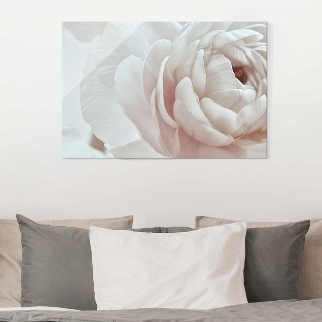 Glass prints rose White Flower In An Ocean Of Flowers