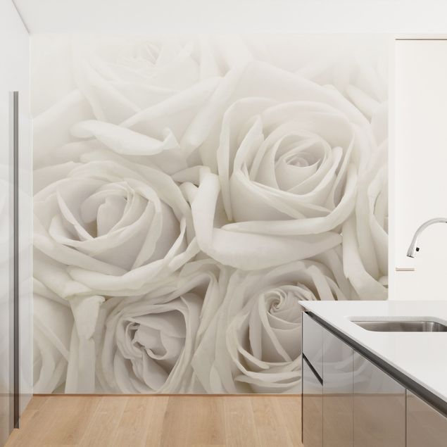 Wallpapers flower White Roses