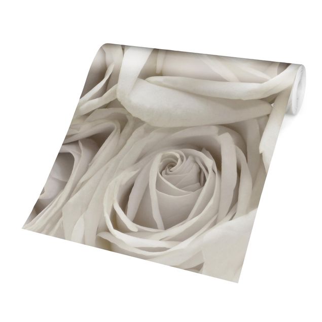 Wallpapers white White Roses