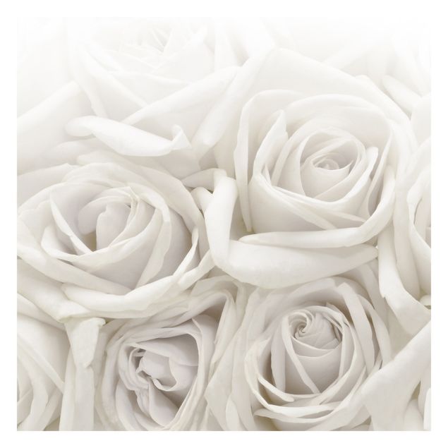 Self adhesive wallpapers White Roses