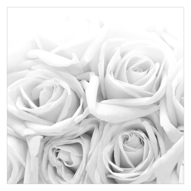 Self adhesive wallpapers White Roses Black And White