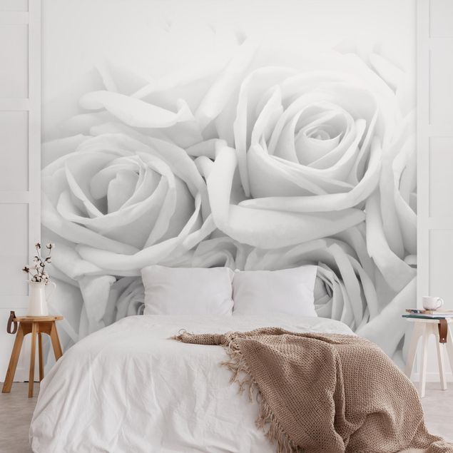 Wallpapers flower White Roses Black And White