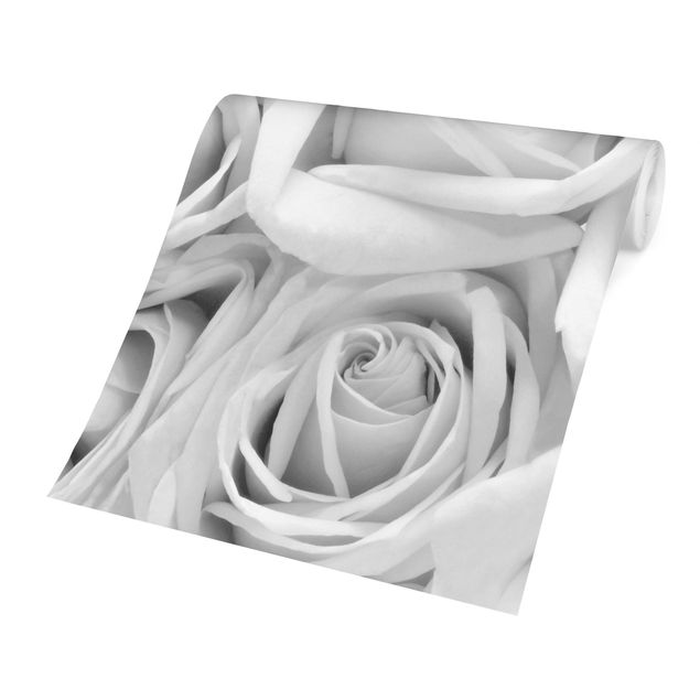 Wallpapers modern White Roses Black And White