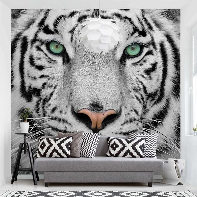 Kitchen White Tiger