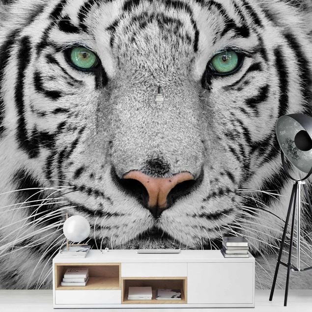 Black white wallpaper White Tiger