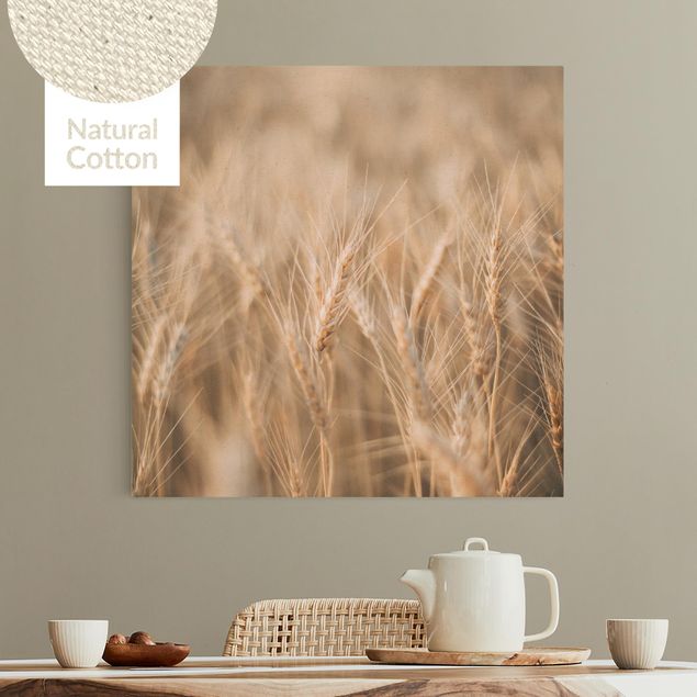 Canvas prints grasses Wheat Field